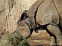 dscn3116.jpg