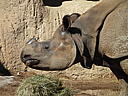 dscn3117.jpg