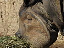 dscn3118.jpg