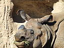 dscn3121.jpg