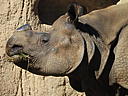 dscn3123.jpg