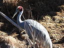 dscn3125.jpg