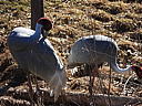 dscn3127.jpg