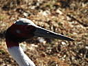 dscn3128.jpg