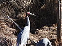 dscn3131.jpg