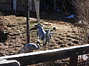 dscn3133.jpg