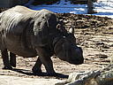 dscn3134.jpg