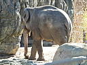 dscn3138.jpg