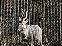 dscn3139.jpg