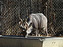 dscn3140.jpg