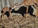 dscn3141_1.jpg