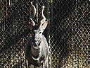 dscn3145.jpg