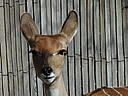dscn3146.jpg