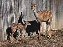 dscn3147.jpg