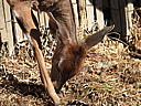 dscn3148.jpg
