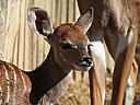 dscn3149.jpg