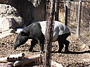 dscn3152.jpg