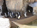 dscn3156.jpg