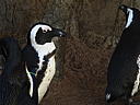 dscn3158.jpg
