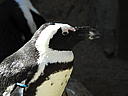 dscn3159.jpg