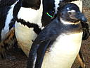dscn3160.jpg
