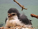dscn3163.jpg