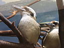 dscn3165.jpg