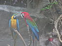 dscn3166.jpg