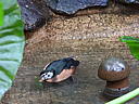 dscn3167.jpg