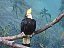 dscn3170.jpg