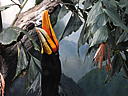 dscn3171.jpg