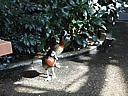 dscn3173.jpg