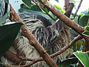 dscn3175.jpg