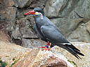 dscn3177.jpg