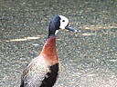 dscn3180.jpg