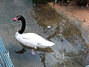 dscn3181.jpg