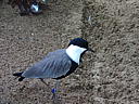 dscn3182.jpg