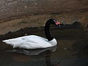 dscn3183.jpg