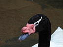dscn3185.jpg