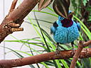 dscn3187.jpg