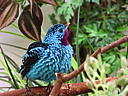dscn3188.jpg