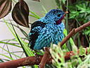 dscn3189.jpg