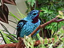 dscn3190.jpg