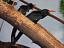 dscn3193.jpg