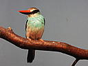 dscn3197.jpg