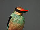 dscn3200.jpg