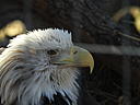 dscn3205.jpg