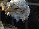 dscn3207.jpg