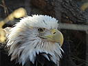 dscn3208.jpg