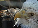 dscn3211.jpg